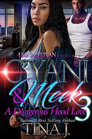 C'Yani and Meek 3: A Dangerous Hood Love by Tina J.