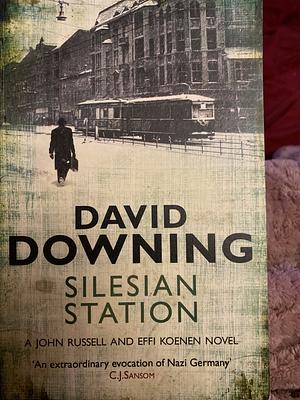 Silesian Station by David Downing