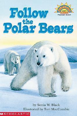 Follow the Polar Bears by Turi MacCombie, Sonia Black, Sonia Black