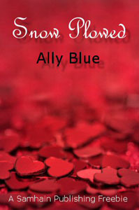 Snow Plowed by Ally Blue