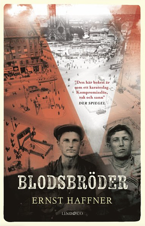 Blodsbröder: roman by Ernst Haffner