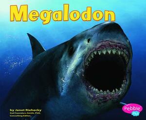 Megalodon by Janet Riehecky