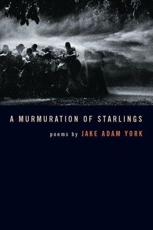 A Murmuration of Starlings by Jake Adam York