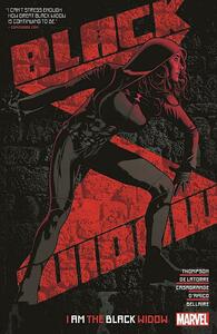 Black Widow by Kelly Thompson, Vol. 2 by Elene Casagrande, Rafael de Latorre, Kelly Thompson