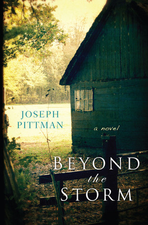Beyond the Storm by Joseph Pittman