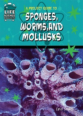 A Project Guide to Sponges, Worms, and Mollusks by Carol Smalley, Colleen Kessler