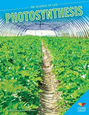 Photosynthesis by Christine Zuchora-Walske