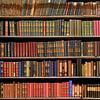 accidentalbookishchaos's profile picture