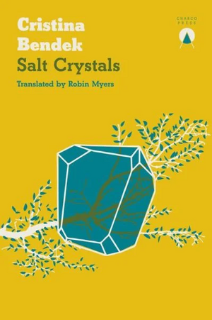 Salt Crystals by Cristina Bendek