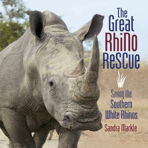 The Great Rhino Rescue by Sandra Markle