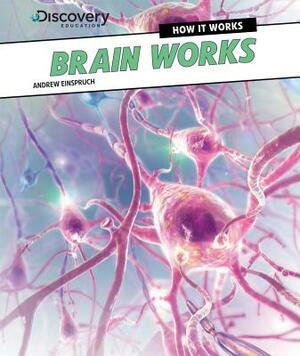 Brain Works by Andrew Einspruch