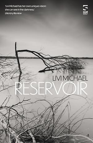 Reservoir by Livi Michael