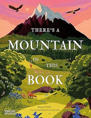 There's a Mountain in This Book by Rachel Elliot