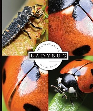 The Life Cycle of a Ladybug by L. L. Owens