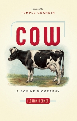Cow: A Bovine Biography by Doris Ecker, Florian Werner, Temple Grandin