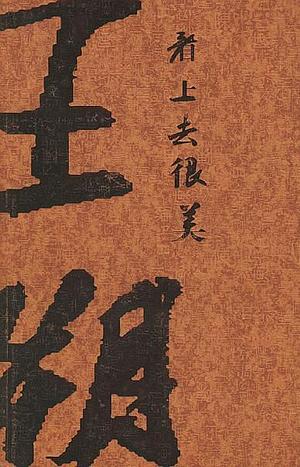 看上去很美 by Wang Shuo, Wang Shuo, Wang Shuo