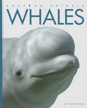 Whales by Kate Riggs