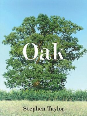 Oak by Stephen Taylor