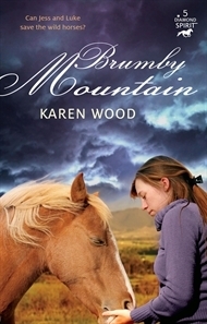Brumby Mountain by Karen Wood