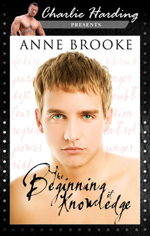 The Beginning of Knowledge by Anne Brooke