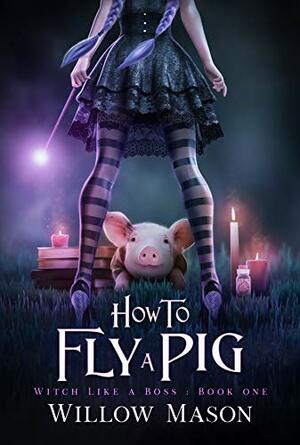 How to Fly a Pig by Willow Mason