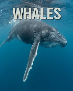 Whales: Amazing Facts & Pictures by Jessica Joe
