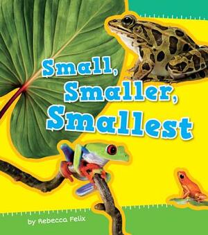 Small, Smaller, Smallest by Rebecca Felix