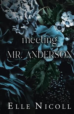 Meeting Mr. Anderson by Elle Nicoll