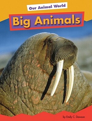 Big Animals by Heather Adamson