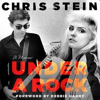 Under a Rock by Chris Stein