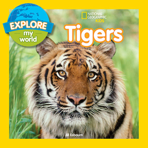 Explore My World: Tigers by Jill Esbaum