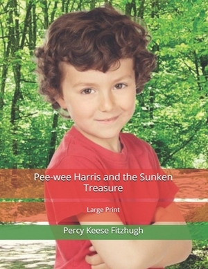 Pee-wee Harris and the Sunken Treasure: Large Print by Percy Keese Fitzhugh