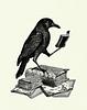 crows_in_a_trenchcoat's profile picture