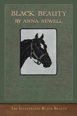 The Illustrated Black Beauty: 100 Illustrations by Anna Sewell