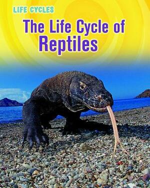 The Life Cycle of Reptiles by Darlene R. Stille