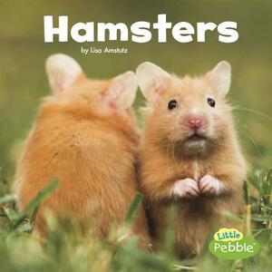 Hamsters by Lisa J. Amstutz