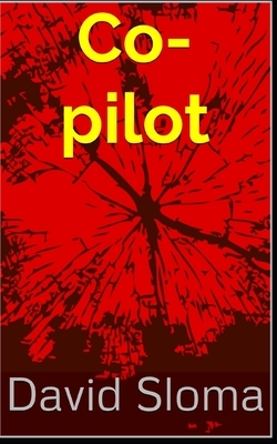 Co-pilot by David Sloma