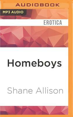 Homeboys: Gay Urban Erotica by Shane Allison