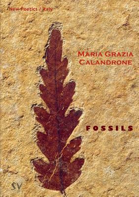 Fossils by Maria Grazia Calandrone
