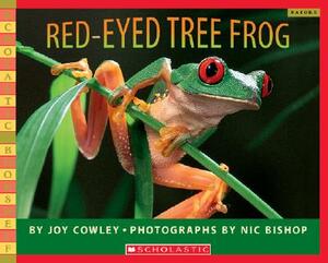 Red-Eyed Tree Frog by Joy Cowley