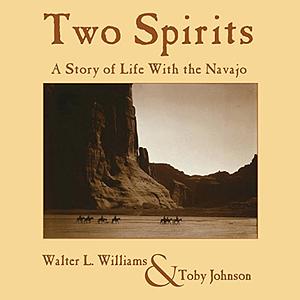 Two Spirits: A Story of Life with the Navajo by Walter L. Williams