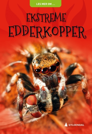 Ekstreme edderkopper by Claire Llewellyn