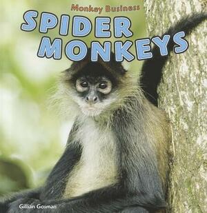 Spider Monkeys by Gillian Gosman