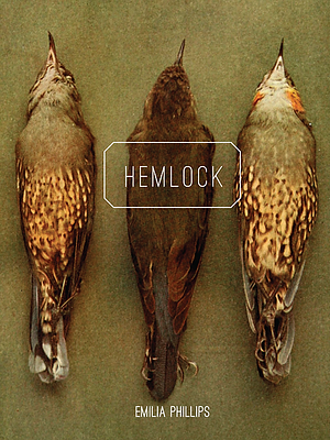 Hemlock by Emilia Phillips