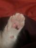 readingandcats's profile picture