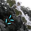 cee_dee's profile picture