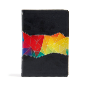 Rainbow Study Bible-NIV-Kaleidoscope by 