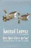 Here I am - Where are you?The Behaviour of the Greylag Goose by Konrad Lorenz