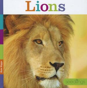 Lions by Kate Riggs