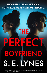 The Perfect Boyfriend by S E Lynes